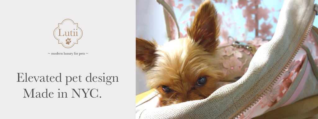 best designer pet carriers small dog harness Lutii. Pet design, pet clothing