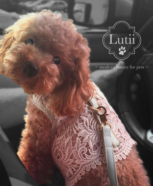 "Cream/pink Victoria"-handmade adjustable lace dog harness - small dog harness, small dog carrier by Lutii pet design