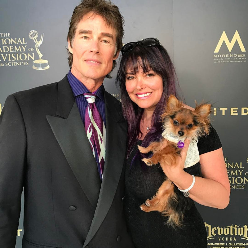 Dog harness by Lutii at the Emmy's!