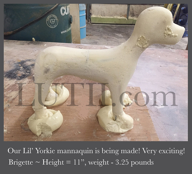 The making of a yorkie/small dog mannequin…