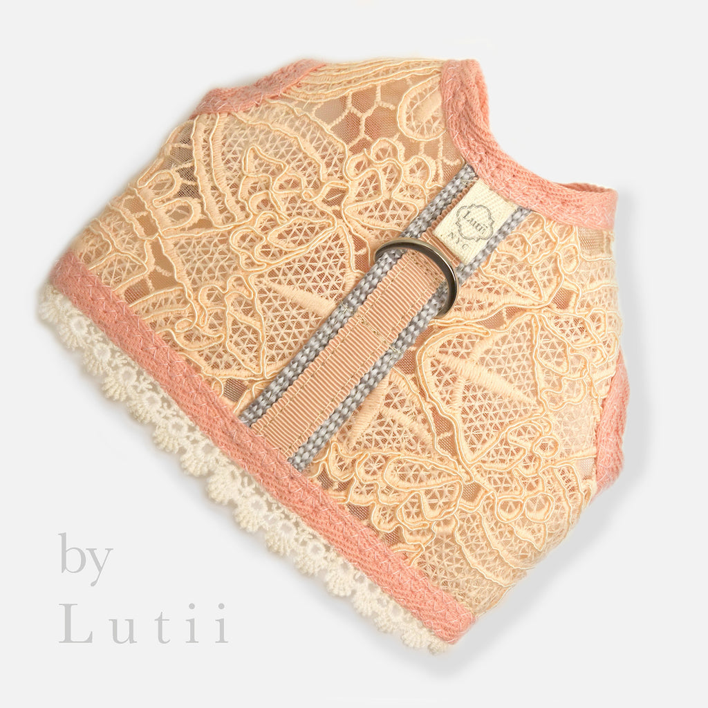 small_dog_harness_designer_lace_harness_Lutii_Lantie.top_main_apricot8x8a