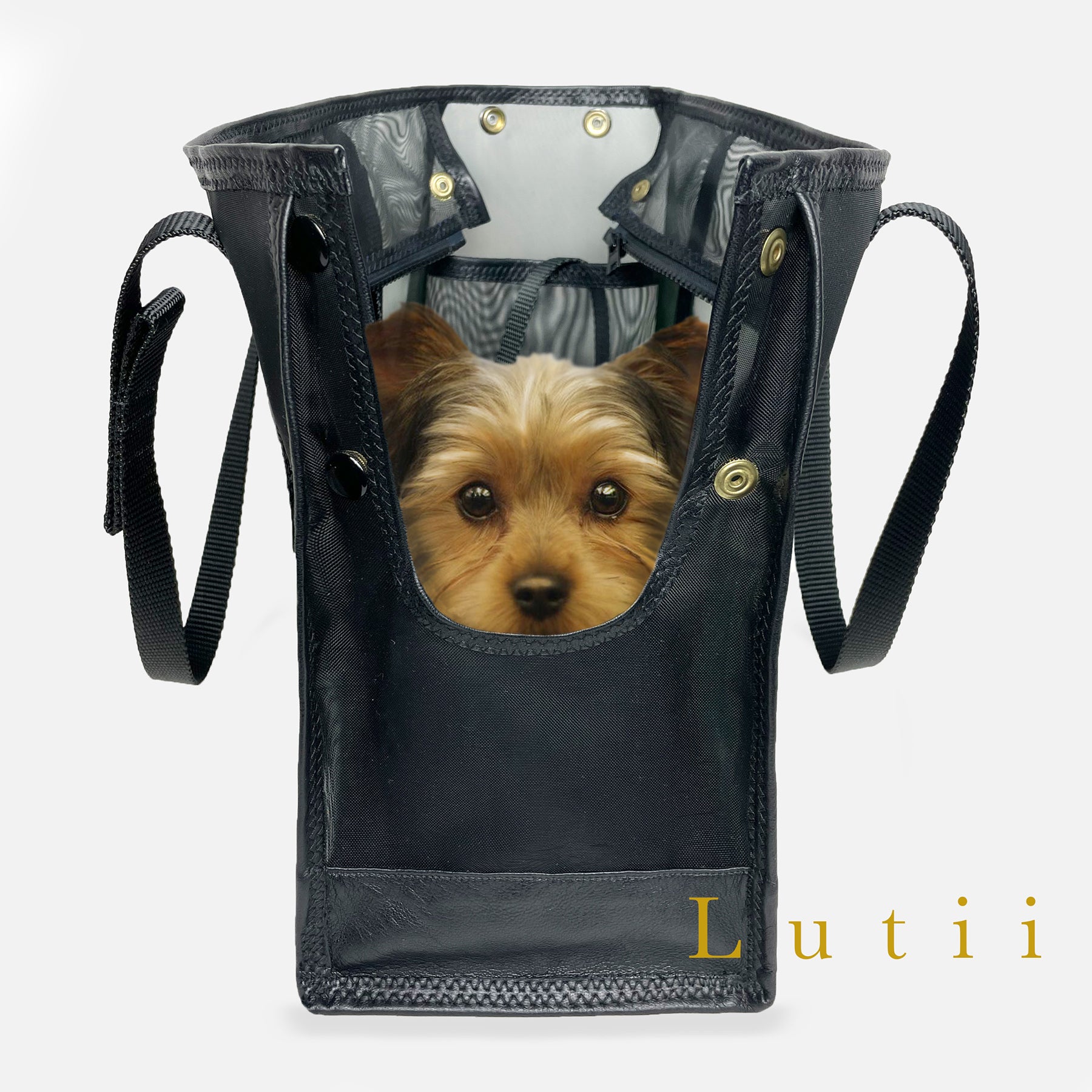 Amazon.com : NewEle Fashion Pet Carrier, Small Dog Carrier, Cat Carrier,  Quality PU Leather Dog Purse, Collapsible Portable Pet Carrying Handbag for  Travel Walking Hiking - Black : Pet Supplies