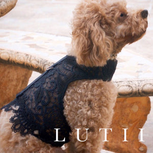 "Black Beauty"-handmade adjustable lace dog harness - small dog harness, dog_clothing_small dog carrier by Lutii pet design