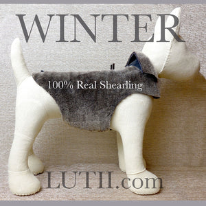 "Slate Grey"-100% shearling handmade winter dog coat - small dog harness, small dog carrier by Lutii pet design
