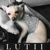 "Hollywood Star"-handmade adjustable glitter dog harness - small dog harness, small dog carrier by Lutii pet design