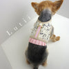 "Elizabeth"-handmade adjustable lace dog harness - small dog harness, small dog carrier by Lutii pet design
