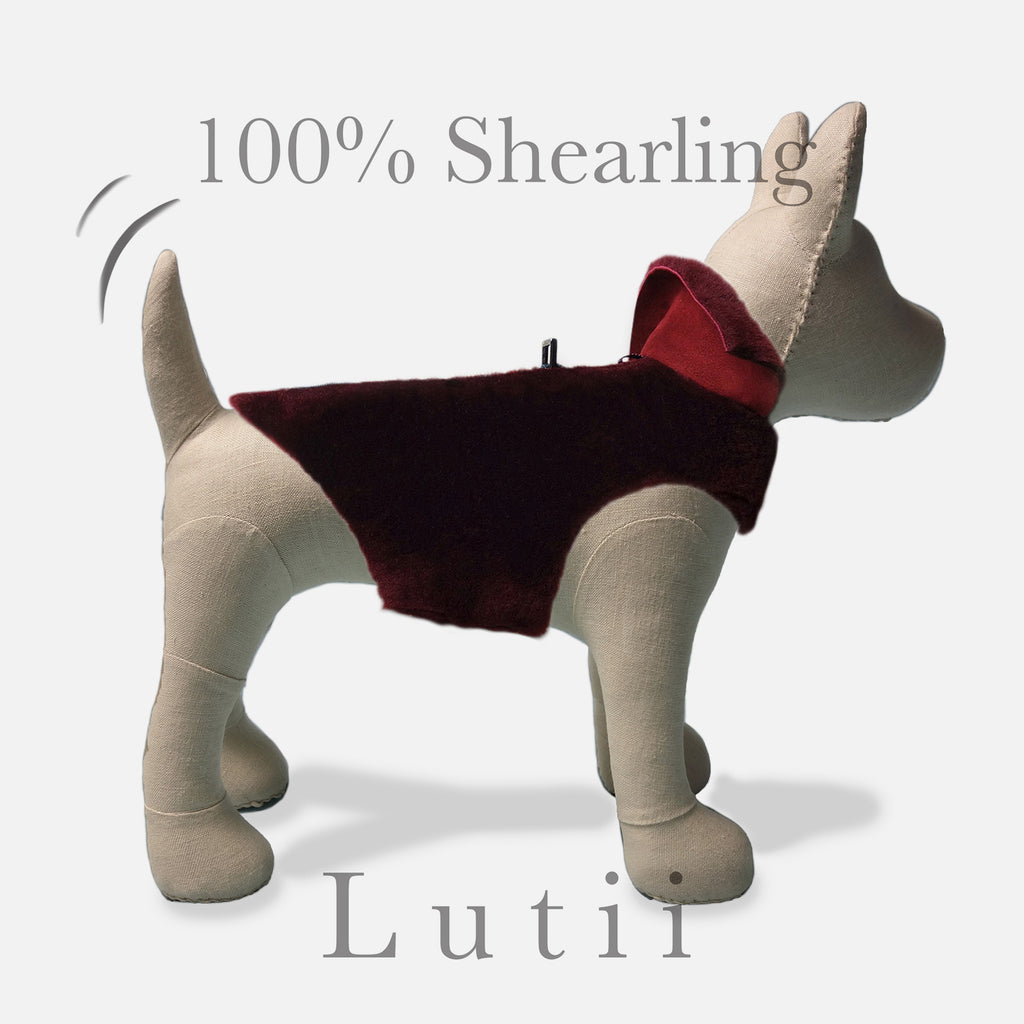 "Brunello Wine"-100% shearling handmade burgundy winter dog coat - small dog harness, small dog carrier by Lutii pet design