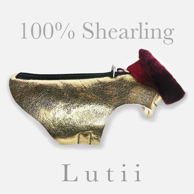 "METALLIC GOLD RUSH"-100% shearling handmade gold winter dog coat - small dog harness, small dog carrier by Lutii pet design