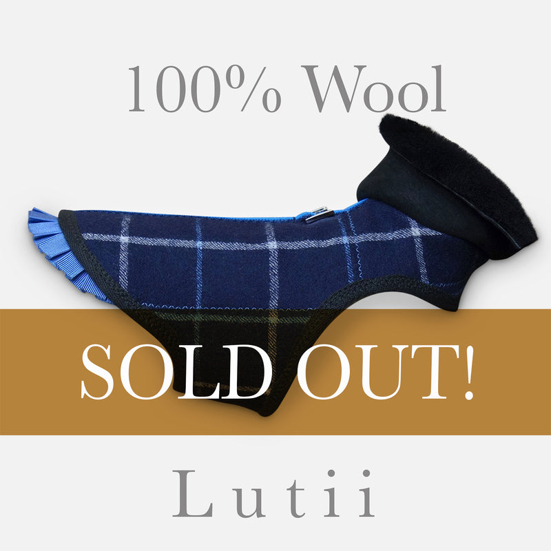 "NAVY GRID"-All 100% wool w/real shearling handmade winter dog coat - small dog harness, small dog carrier by Lutii pet design