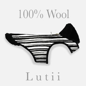 "Italian Waves"-Wool/blend w/real shearling handmade winter dog coat - small dog harness, small dog carrier by Lutii pet design