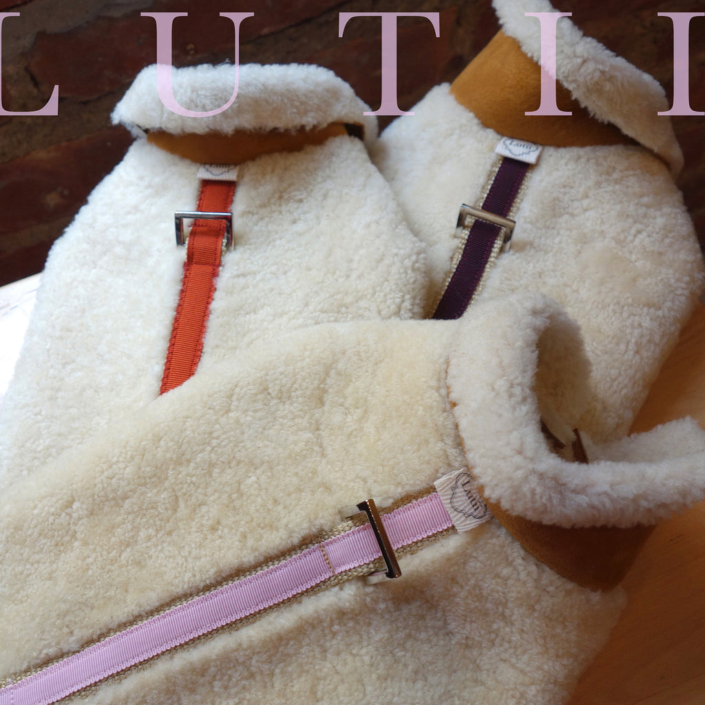 "Natural Colorado"-100% shearling handmade natural winter dog coat - small dog harness, small dog carrier by Lutii pet design