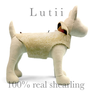 Black Beauty-handmade adjustable lace dog harness – small dog harness,  small dog carrier by Lutii pet design