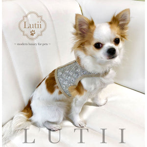 "Hollywood Star"-handmade adjustable glitter dog harness - small dog harness, small dog carrier by Lutii pet design