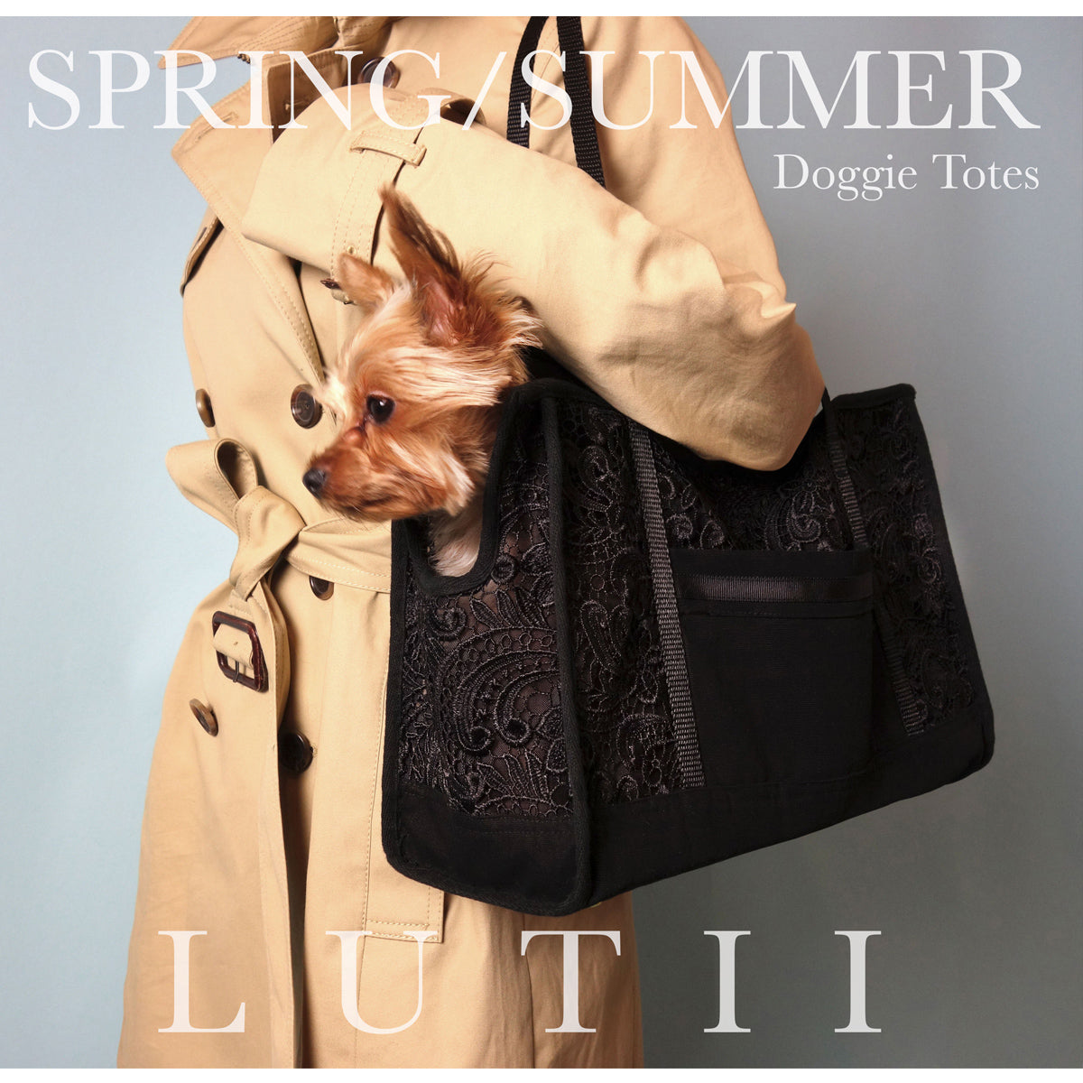 Louis Vuitton Handbag Dog Carrier 3D model